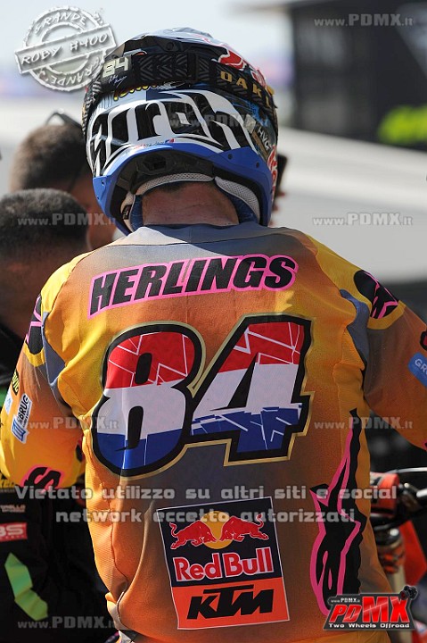 ROB_4444 (Copy).JPG
